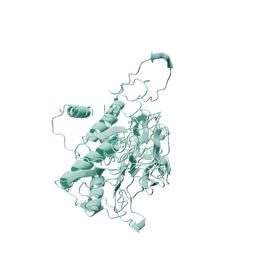 Q15465-Human SHH -3d structure.jpg